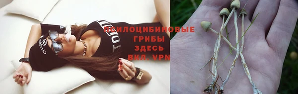 прущий лед Белоозёрский