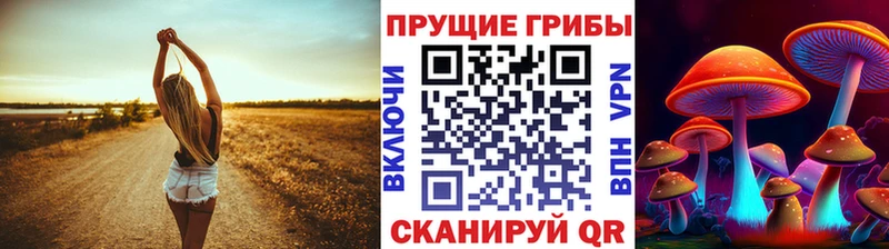 Псилоцибиновые грибы GOLDEN TEACHER  Салаир 