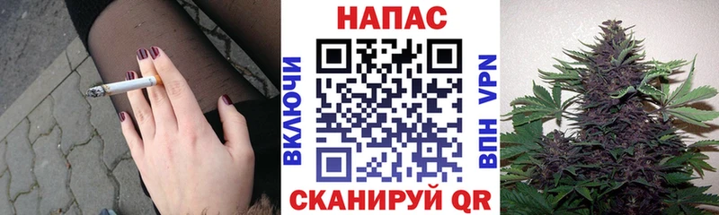 Марихуана семена Салаир